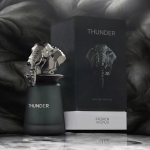 French Avenue Thunder 100 мл парфюмированная вода унисекс